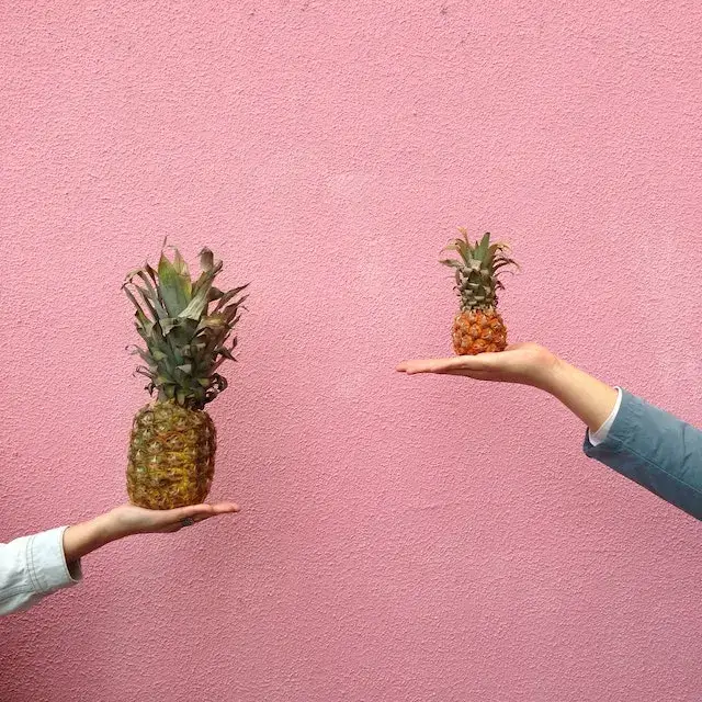 Two pineapples of varying sizes side by side on a neutral background, symbolizing the concept of compression or scaling down.
